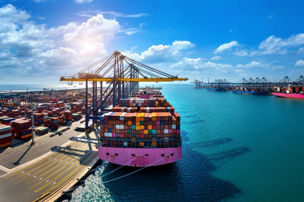 web development fro Supply chain in coimbatore